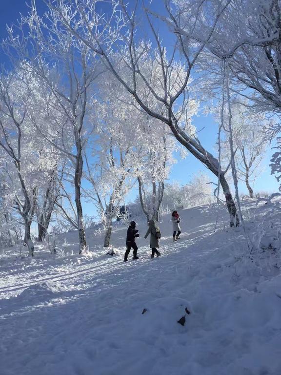 Songhua Lake Qingshan Snow View Apartment Jilin Dış mekan fotoğraf
