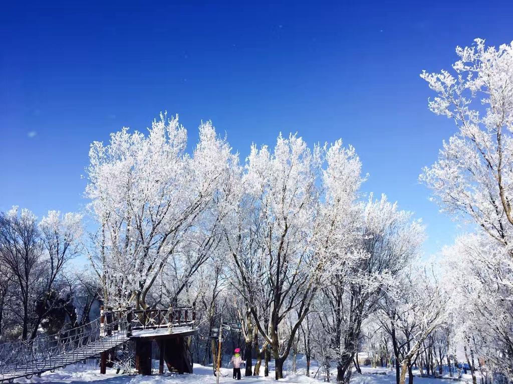 Songhua Lake Qingshan Snow View Apartment Jilin Dış mekan fotoğraf